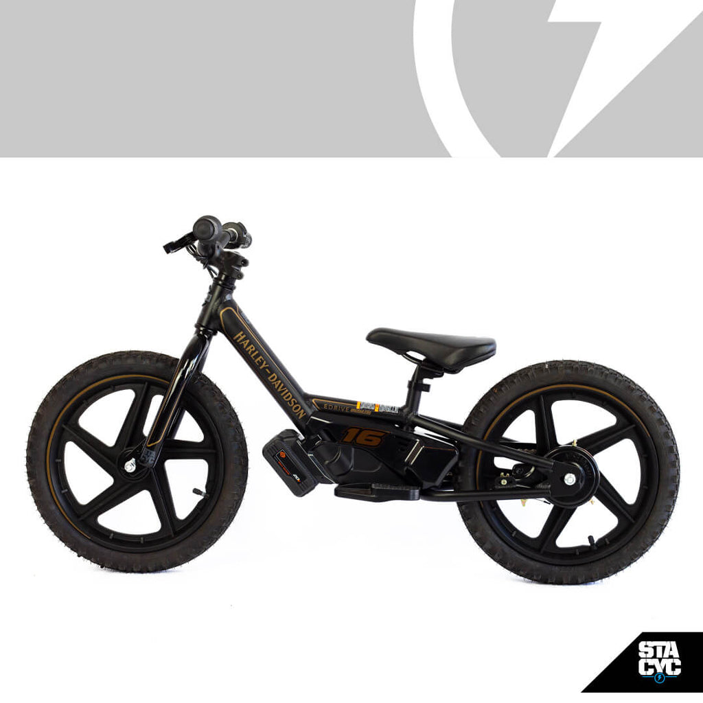 Iron e electric bike online