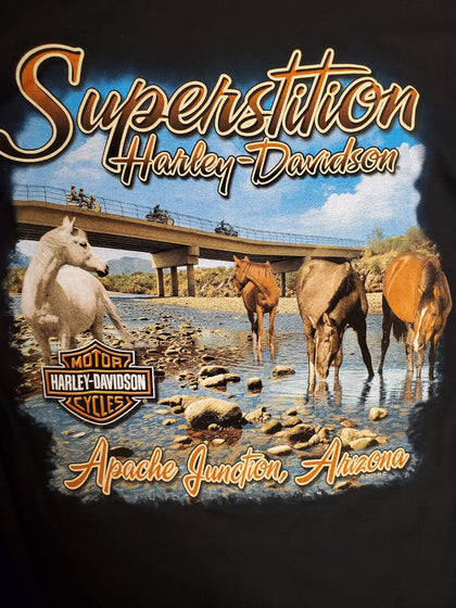 Harley-Davidson® Bar & Shield Salt River Wild Horse Custom Sweatshirt, Black