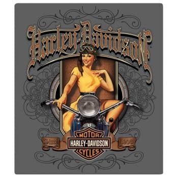 Harley Davidson® Old Scroll Babe Magnet 2010592 - Superstition Harley-Davidson