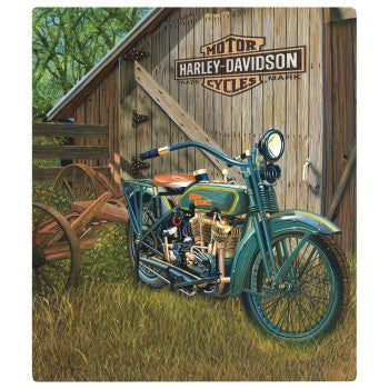 HD_1923FHeadTwin-